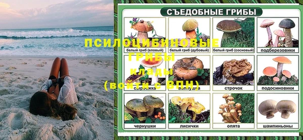спиды Рославль