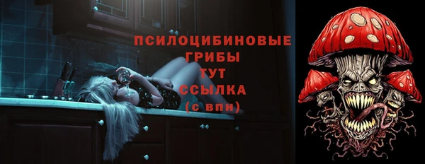СК Ростов